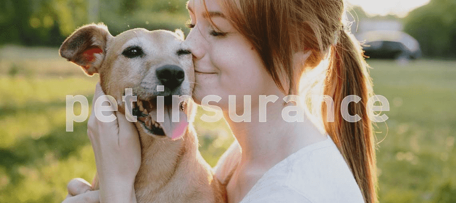 A woman hugging her dog, text overlay reads "pet insurance"
